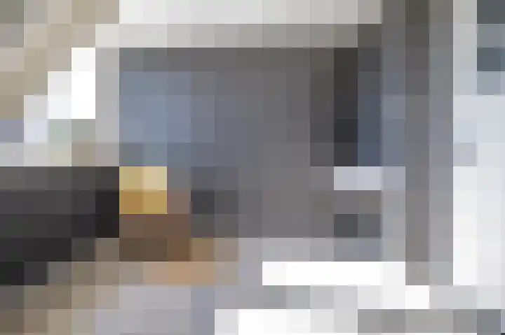 Dahliastraat 12 Almelo thumbnail 22