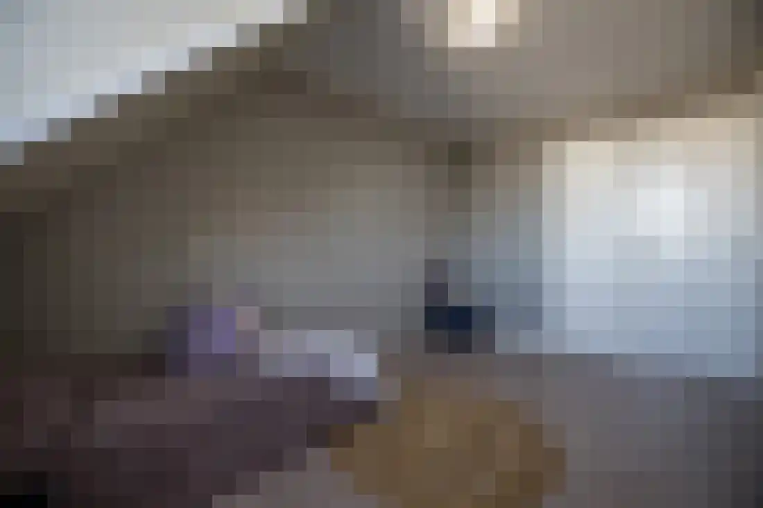 Dahliastraat 12 Almelo thumbnail 25