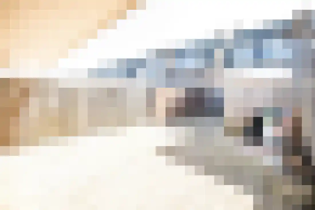 Dahliastraat 12 Almelo thumbnail 30