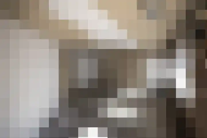 Dahliastraat 12 Almelo thumbnail 31