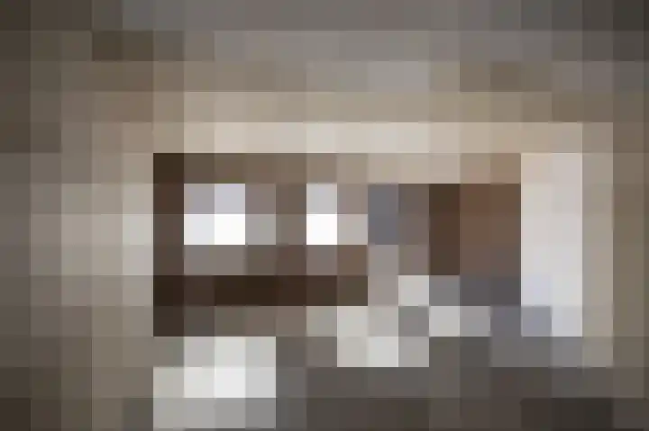 Dahliastraat 12 Almelo thumbnail 32