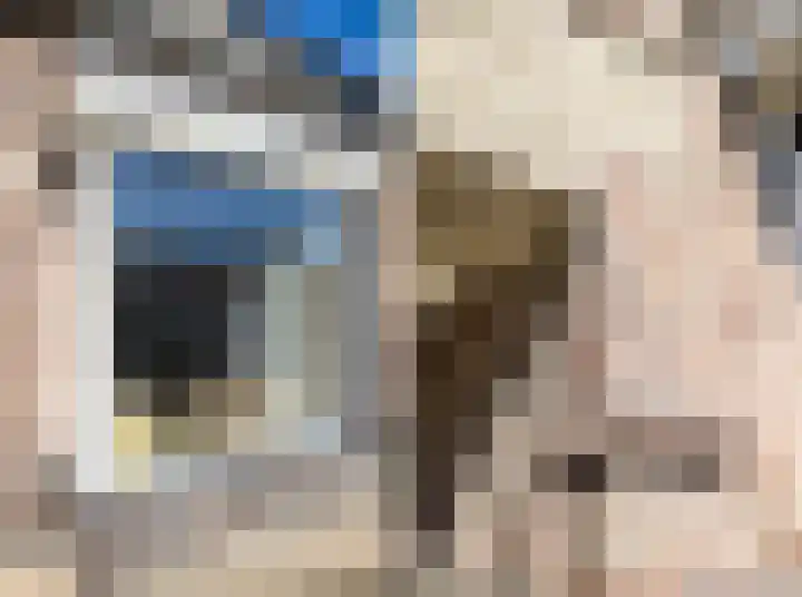 Dahliastraat 12 Almelo thumbnail 7