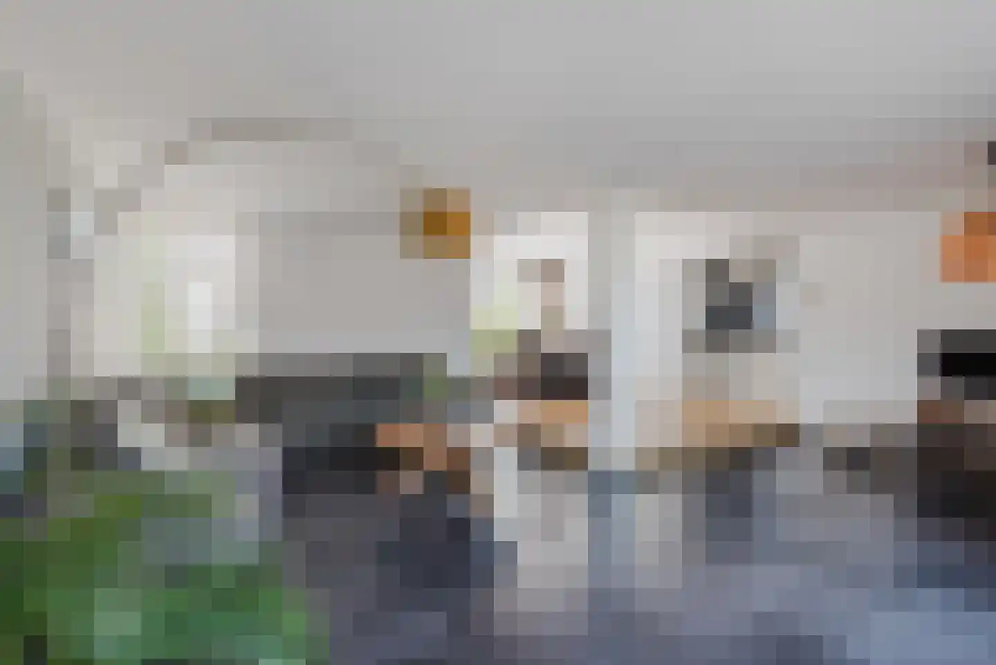 Dahliastraat 12 Heerde thumbnail 13