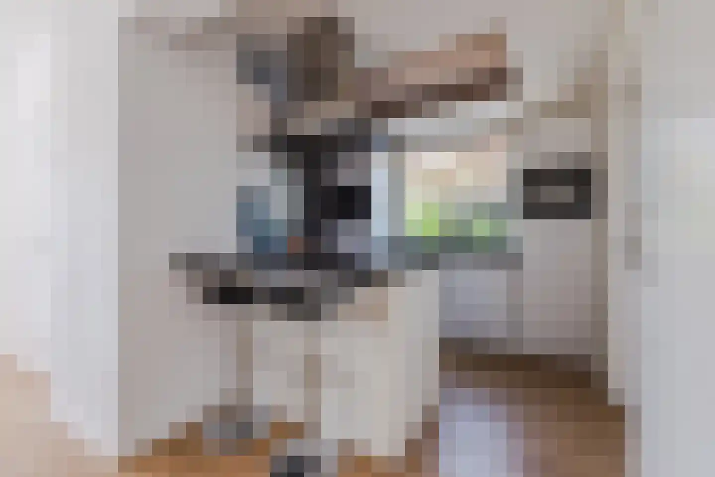 Dahliastraat 12 Heerde thumbnail 18