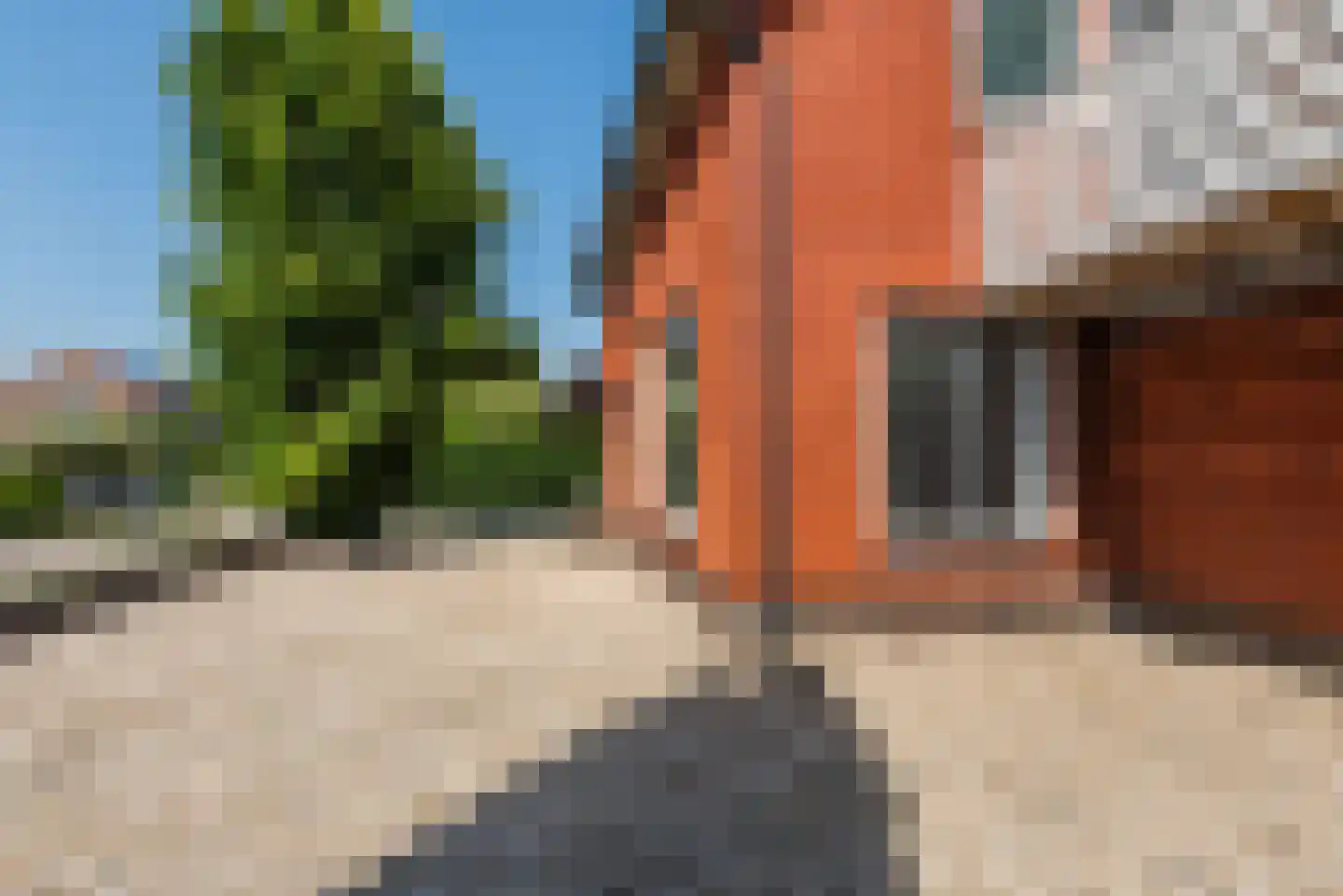 Dahliastraat 12 Heerde thumbnail 4