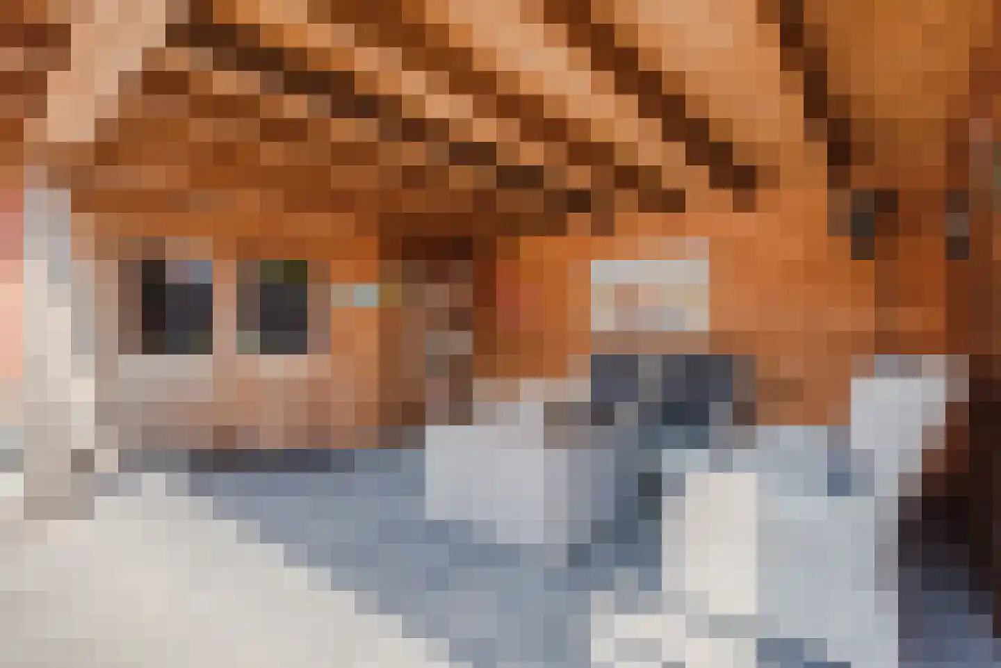 Dahliastraat 12 Heerde thumbnail 43