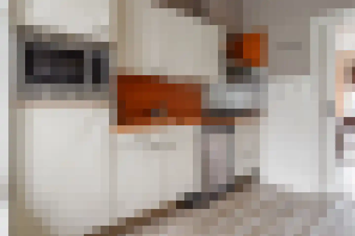 Dahliastraat 12 Hengelo thumbnail 10