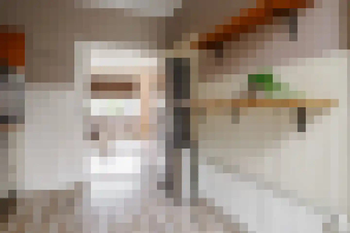 Dahliastraat 12 Hengelo thumbnail 11