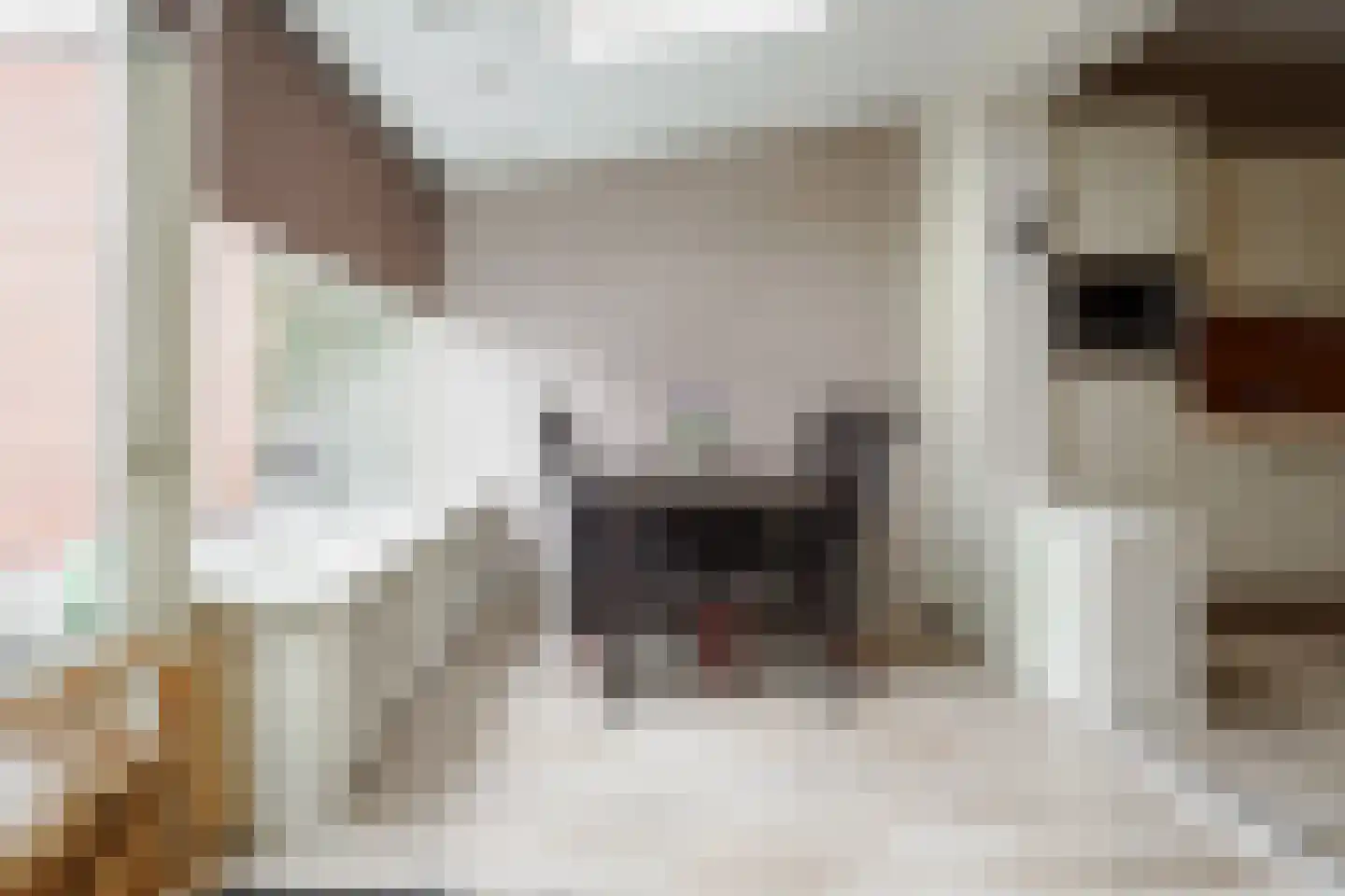Dahliastraat 12 Hengelo thumbnail 15