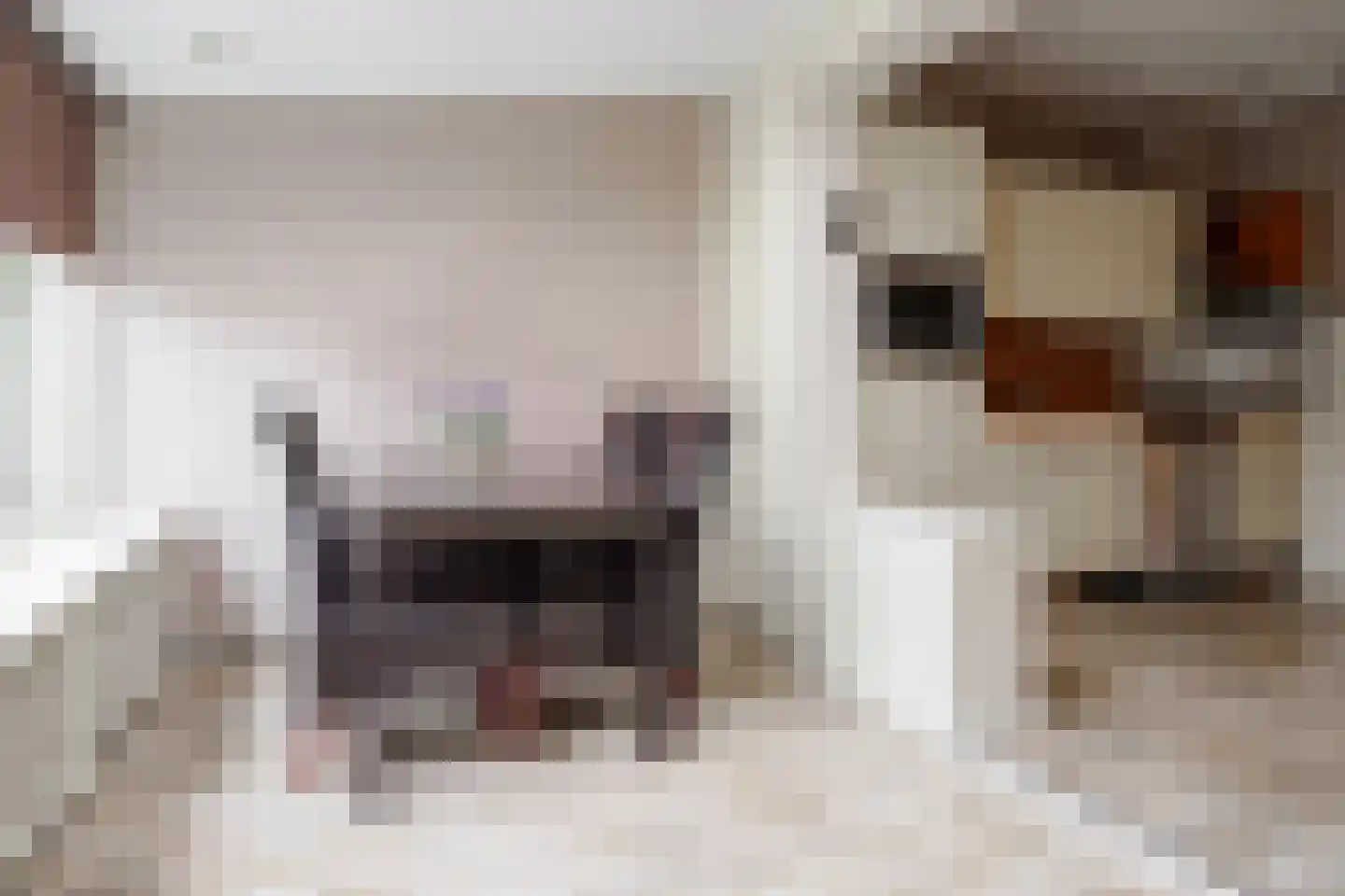 Dahliastraat 12 Hengelo thumbnail 16