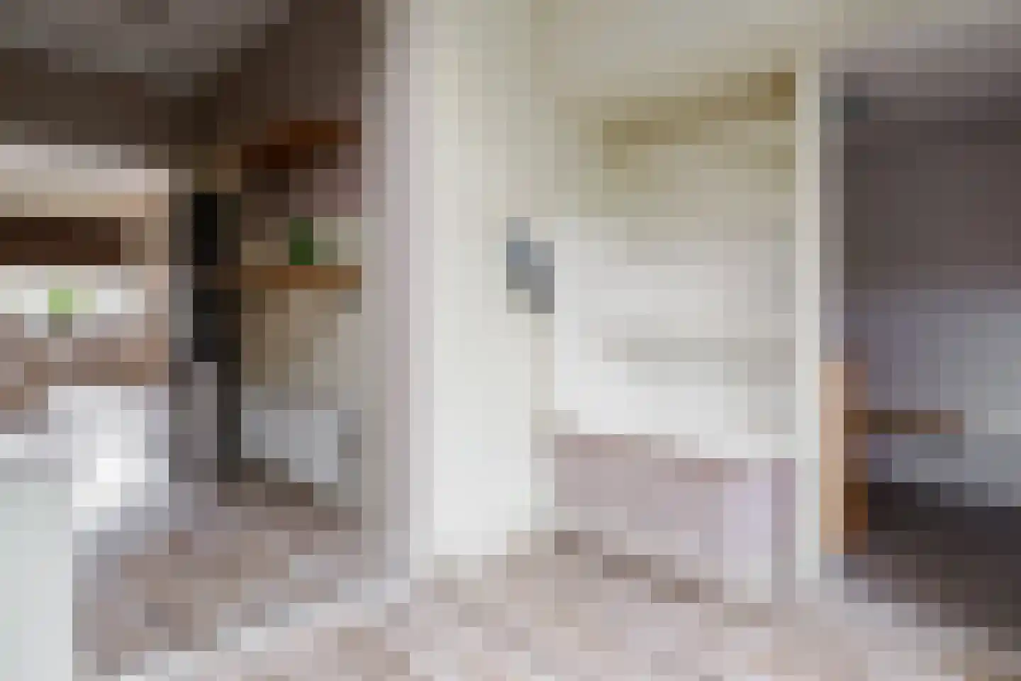 Dahliastraat 12 Hengelo thumbnail 17