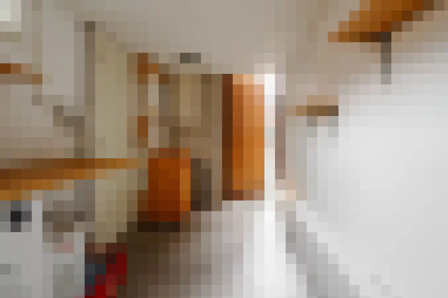 Dahliastraat 12 Hengelo thumbnail 19