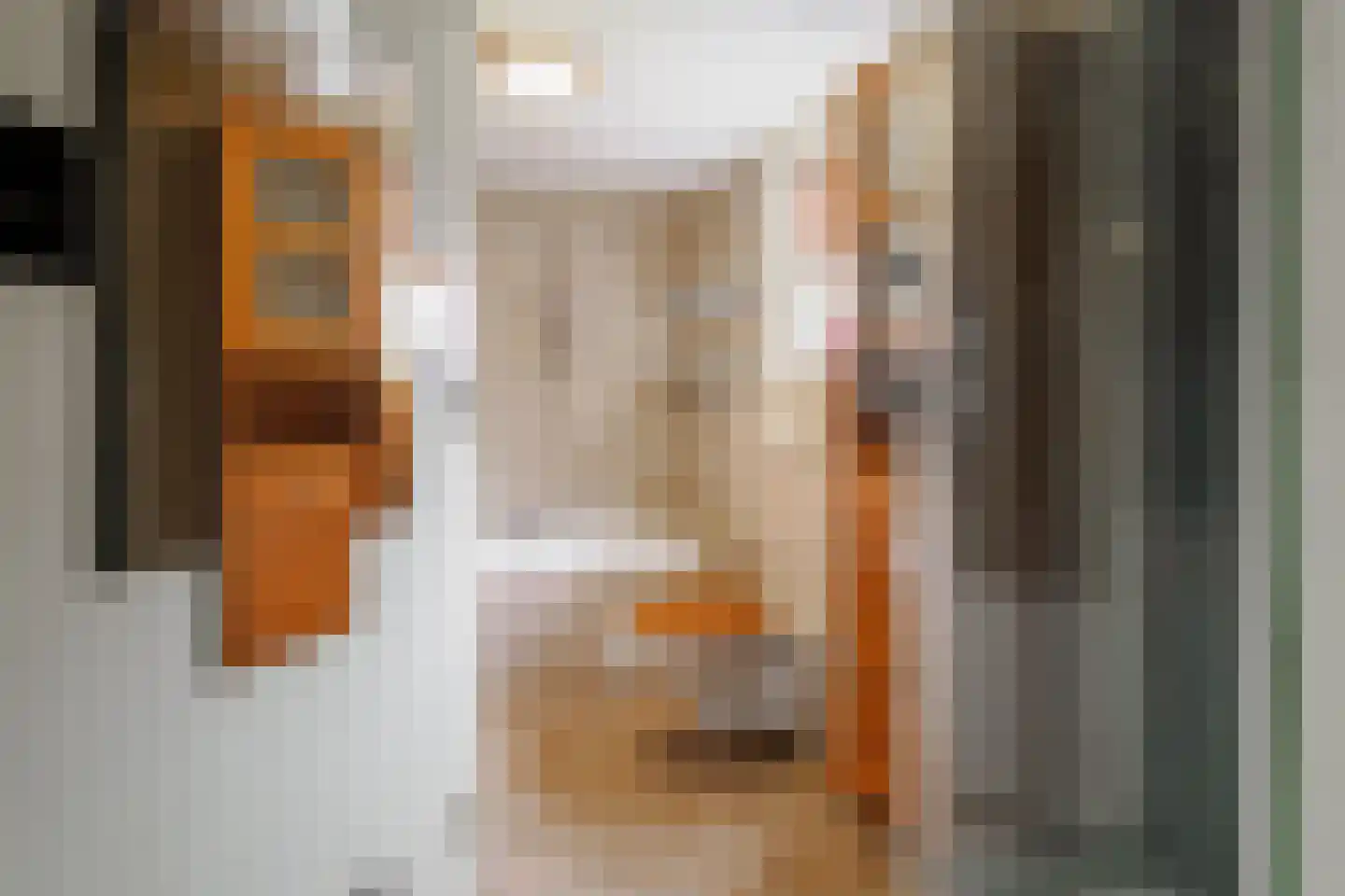 Dahliastraat 12 Hengelo thumbnail 20