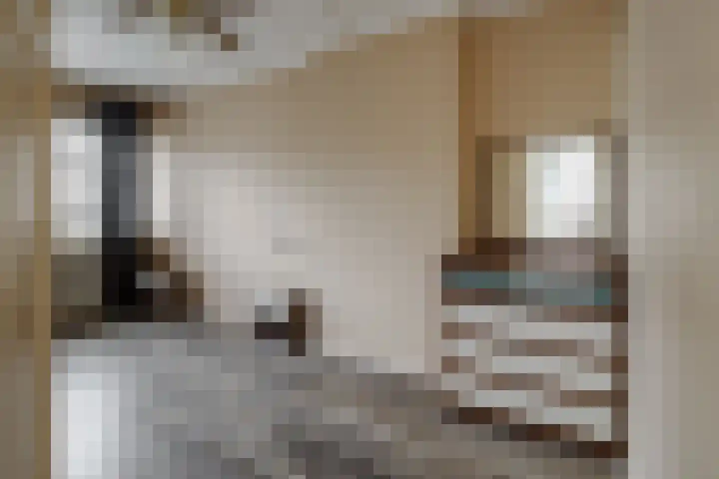 Dahliastraat 12 Hengelo thumbnail 23