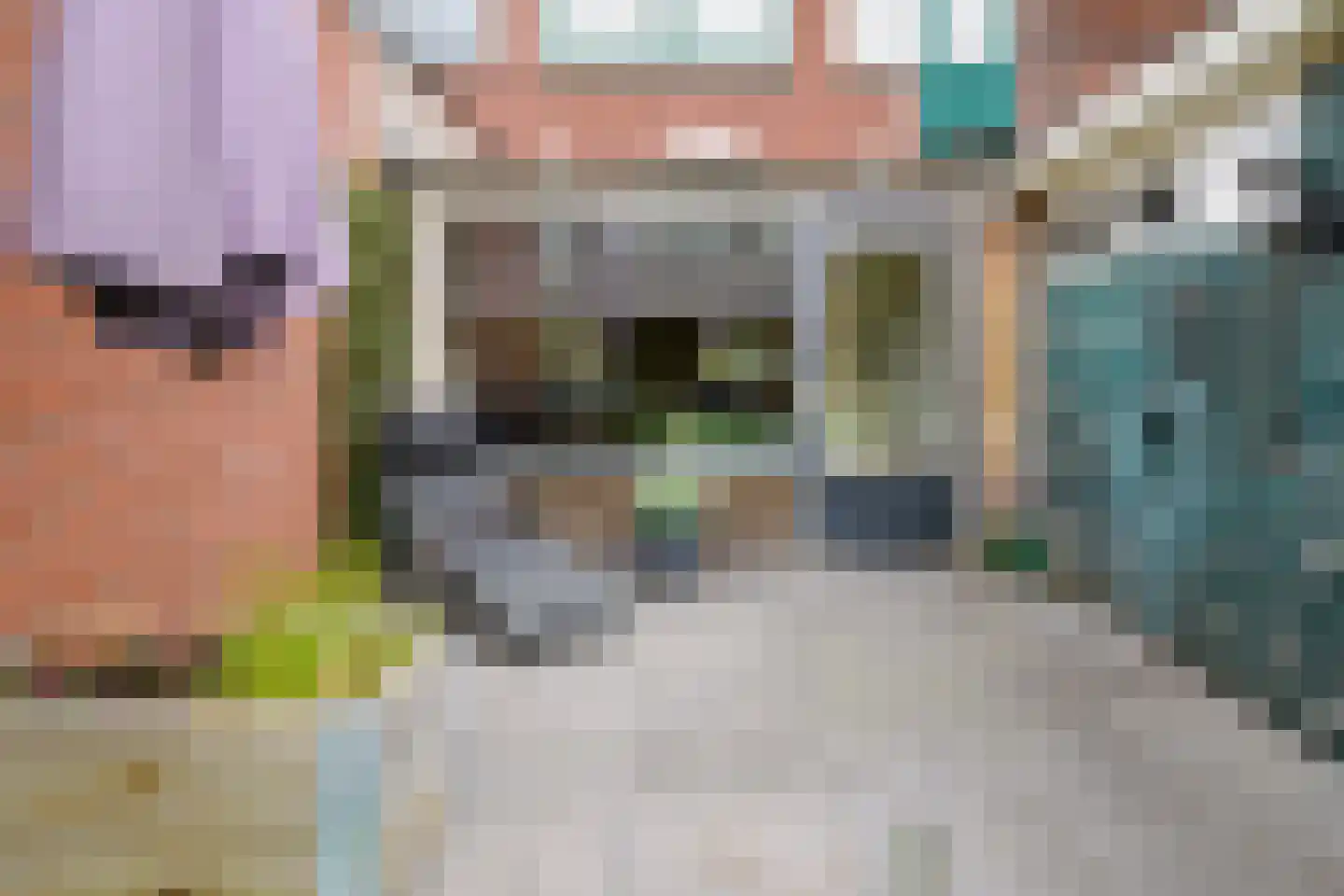 Dahliastraat 12 Hengelo thumbnail 32