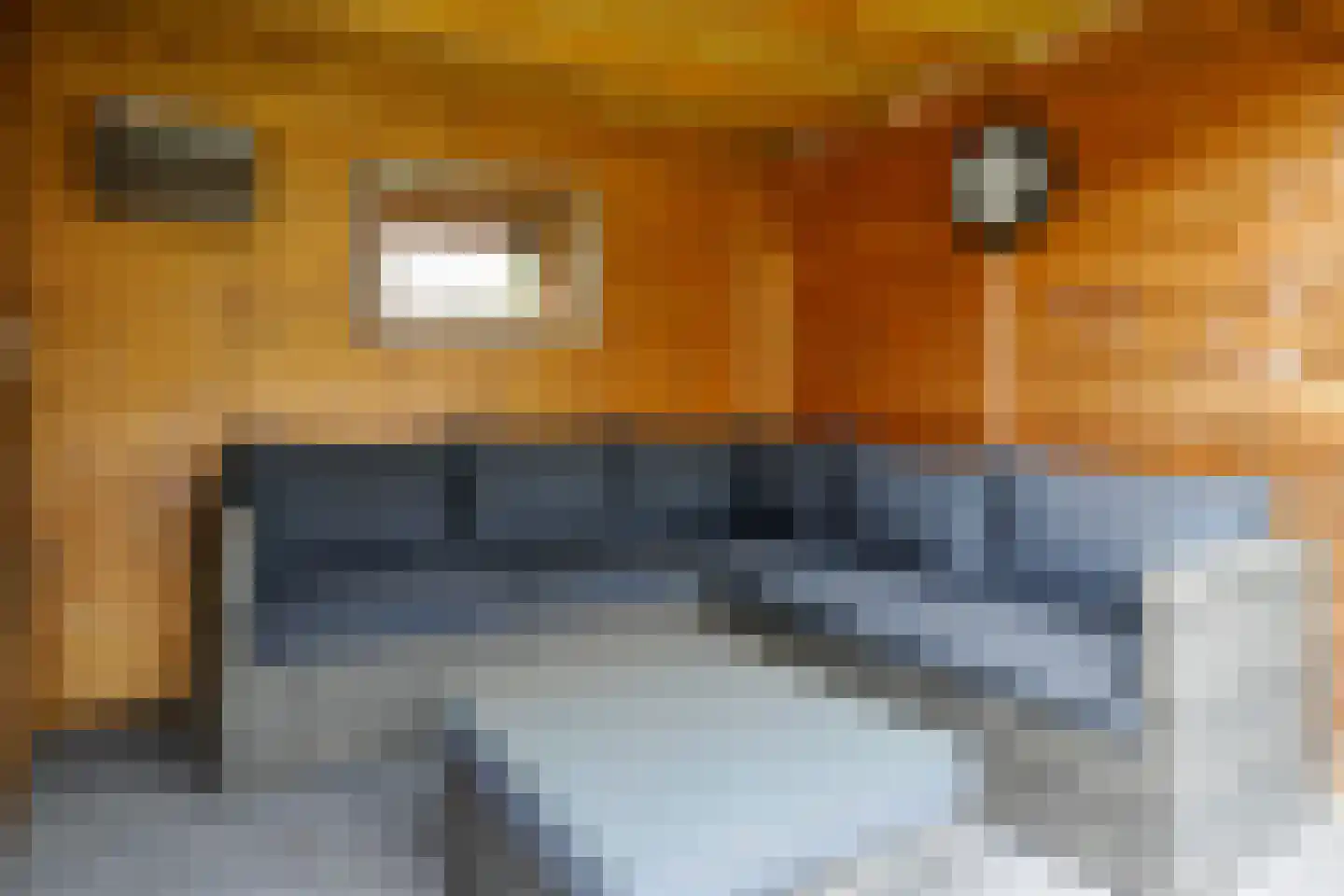 Dahliastraat 12 Hengelo thumbnail 35