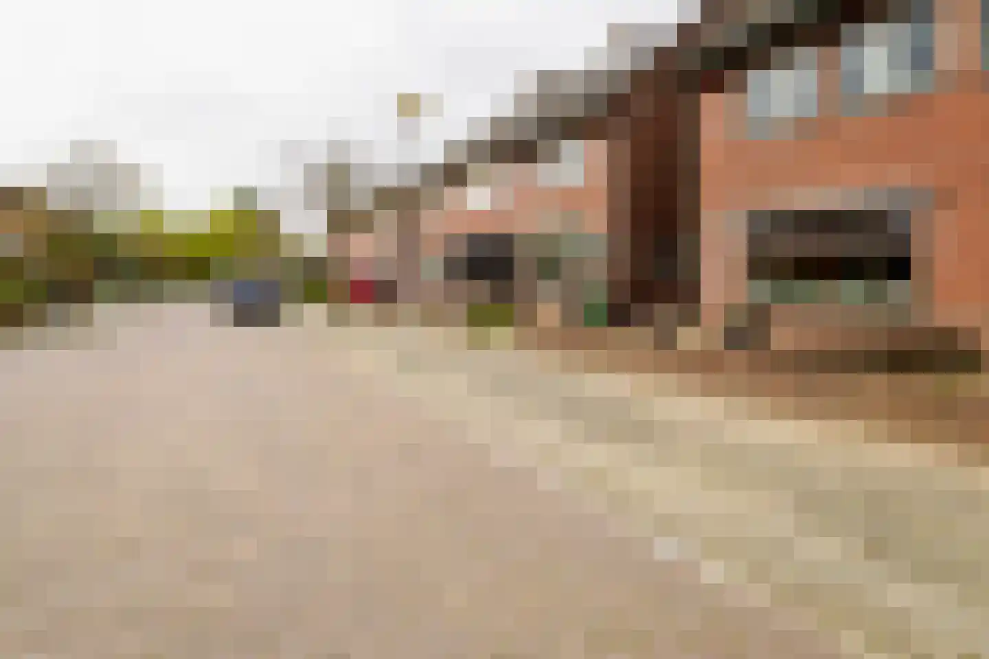 Dahliastraat 12 Hengelo thumbnail 39