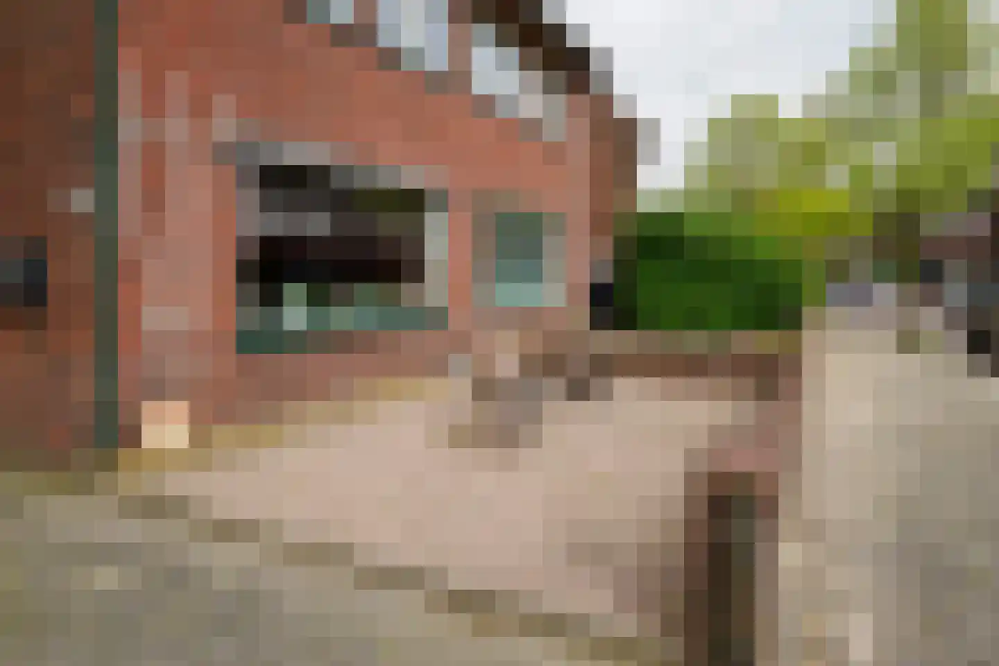 Dahliastraat 12 Hengelo thumbnail 41
