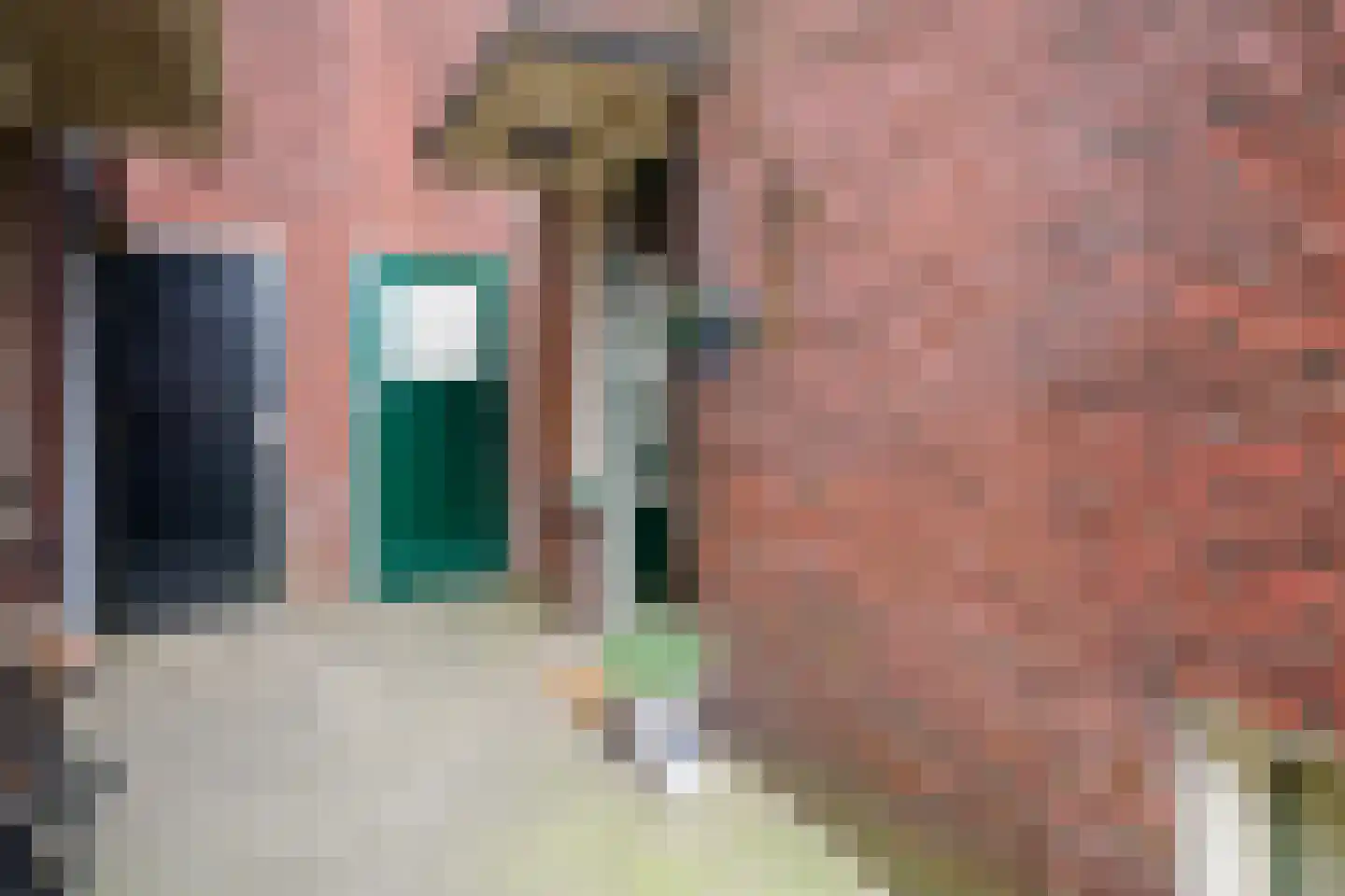 Dahliastraat 12 Hengelo thumbnail 42