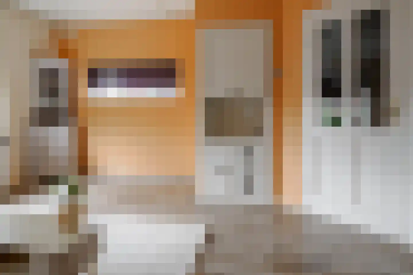 Dahliastraat 12 Hengelo thumbnail 5