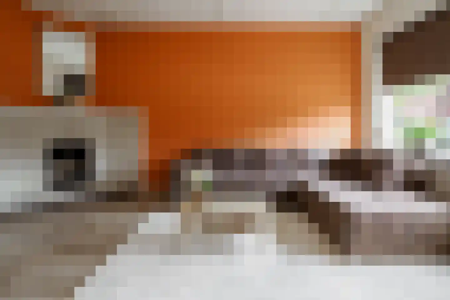 Dahliastraat 12 Hengelo thumbnail 6