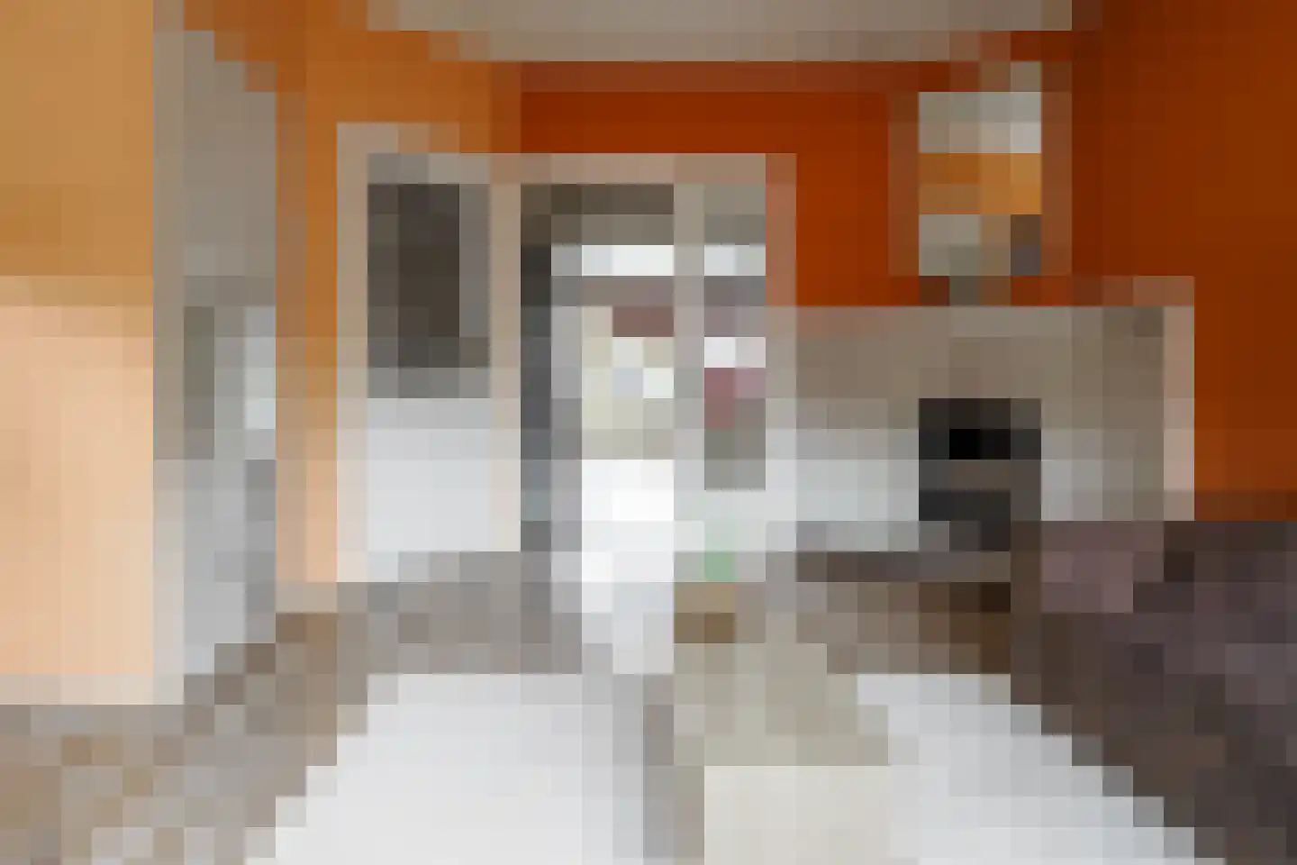 Dahliastraat 12 Hengelo thumbnail 7