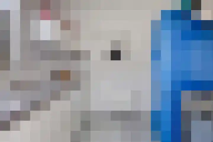 Dahliastraat 12 Hilversum thumbnail 13