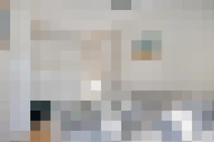 Dahliastraat 12 Hilversum thumbnail 17
