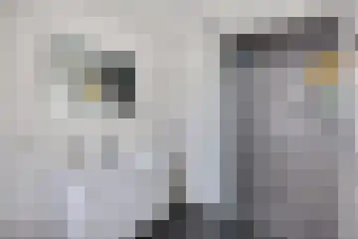 Dahliastraat 12 Hilversum thumbnail 19