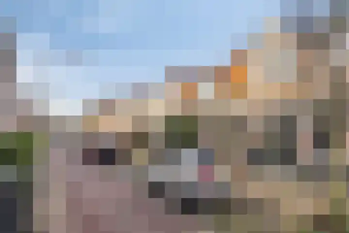Dahliastraat 12 Hilversum thumbnail 25