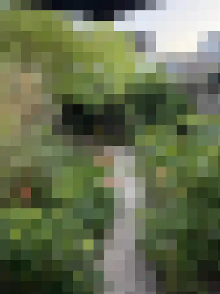 Dahliastraat 12 Hilversum thumbnail 27