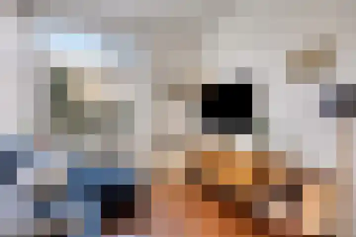 Dahliastraat 12 Hilversum thumbnail 8
