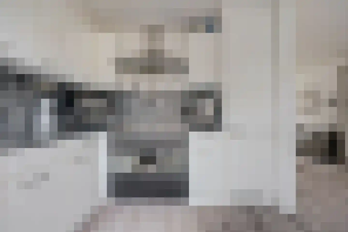 Dahliastraat 12 Spijkenisse thumbnail 10