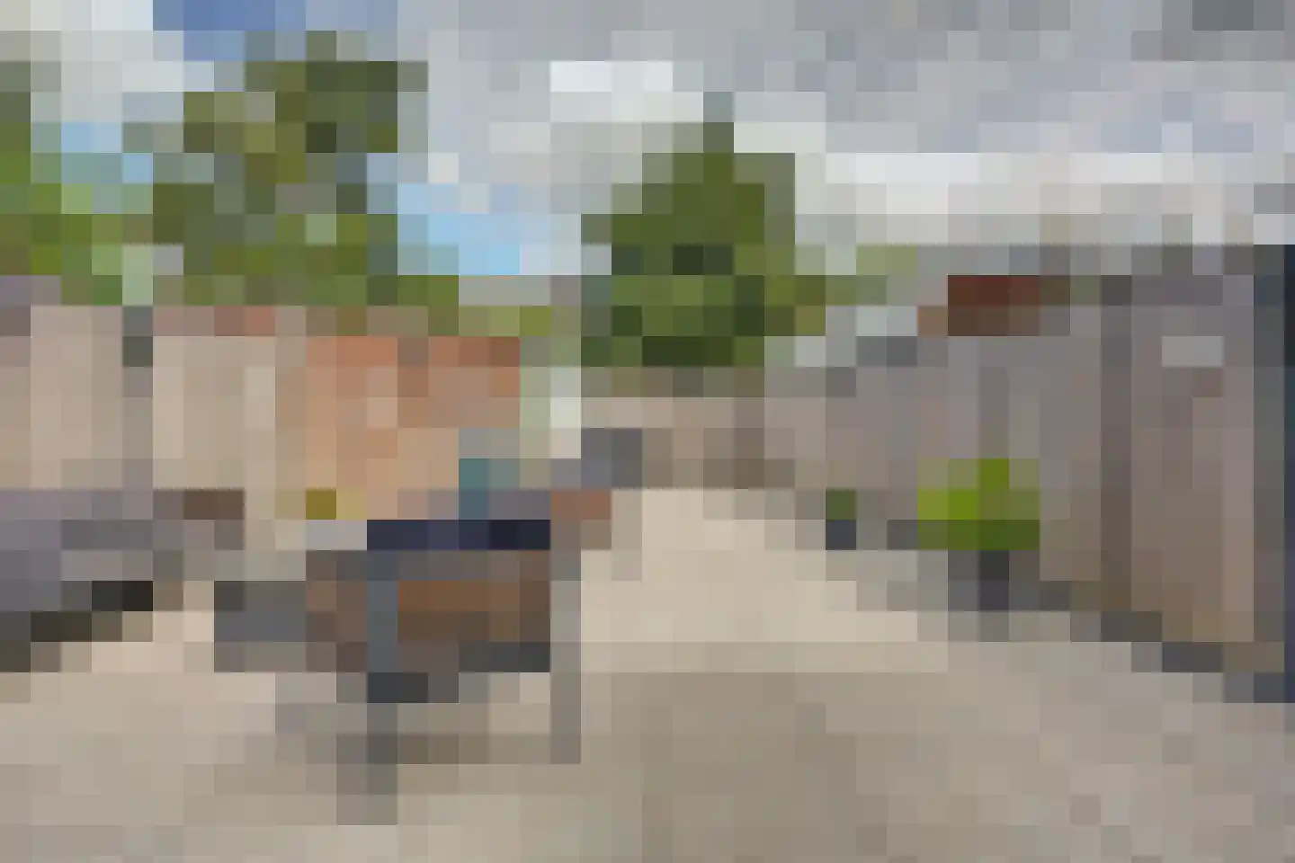 Dahliastraat 12 Spijkenisse thumbnail 15