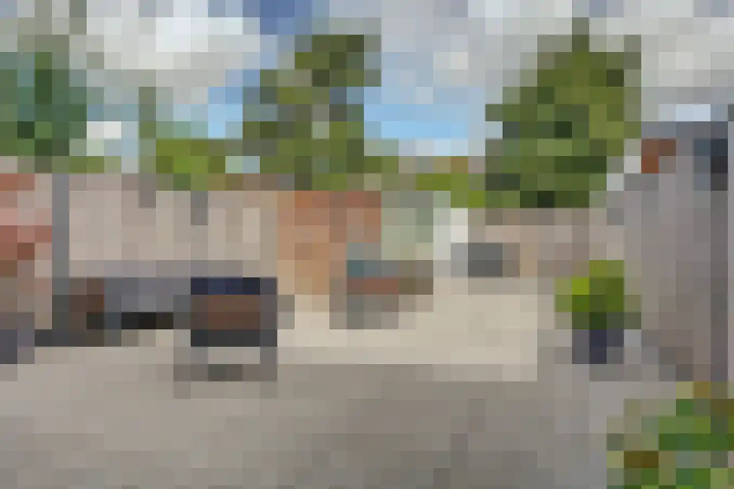 Dahliastraat 12 Spijkenisse thumbnail 18
