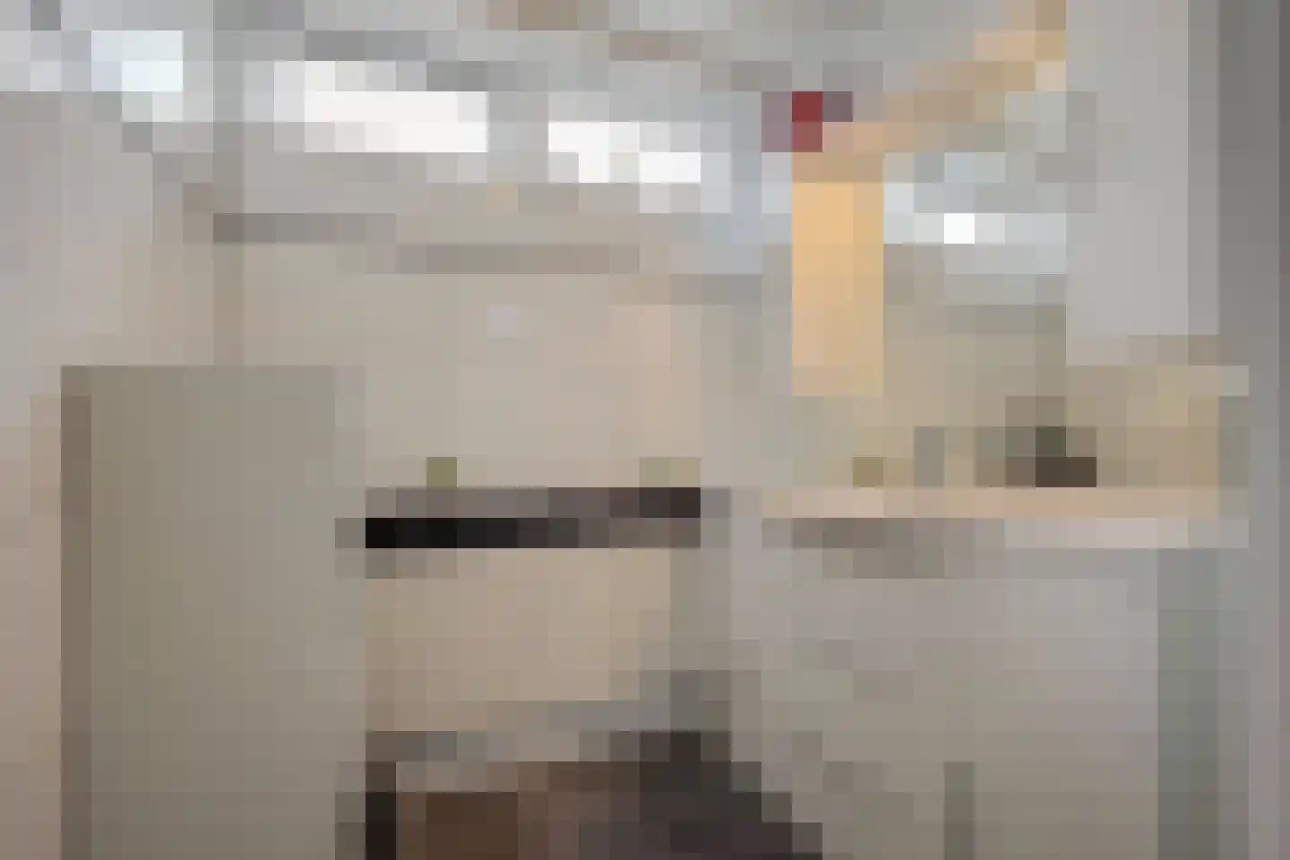 Dahliastraat 12 Spijkenisse thumbnail 22