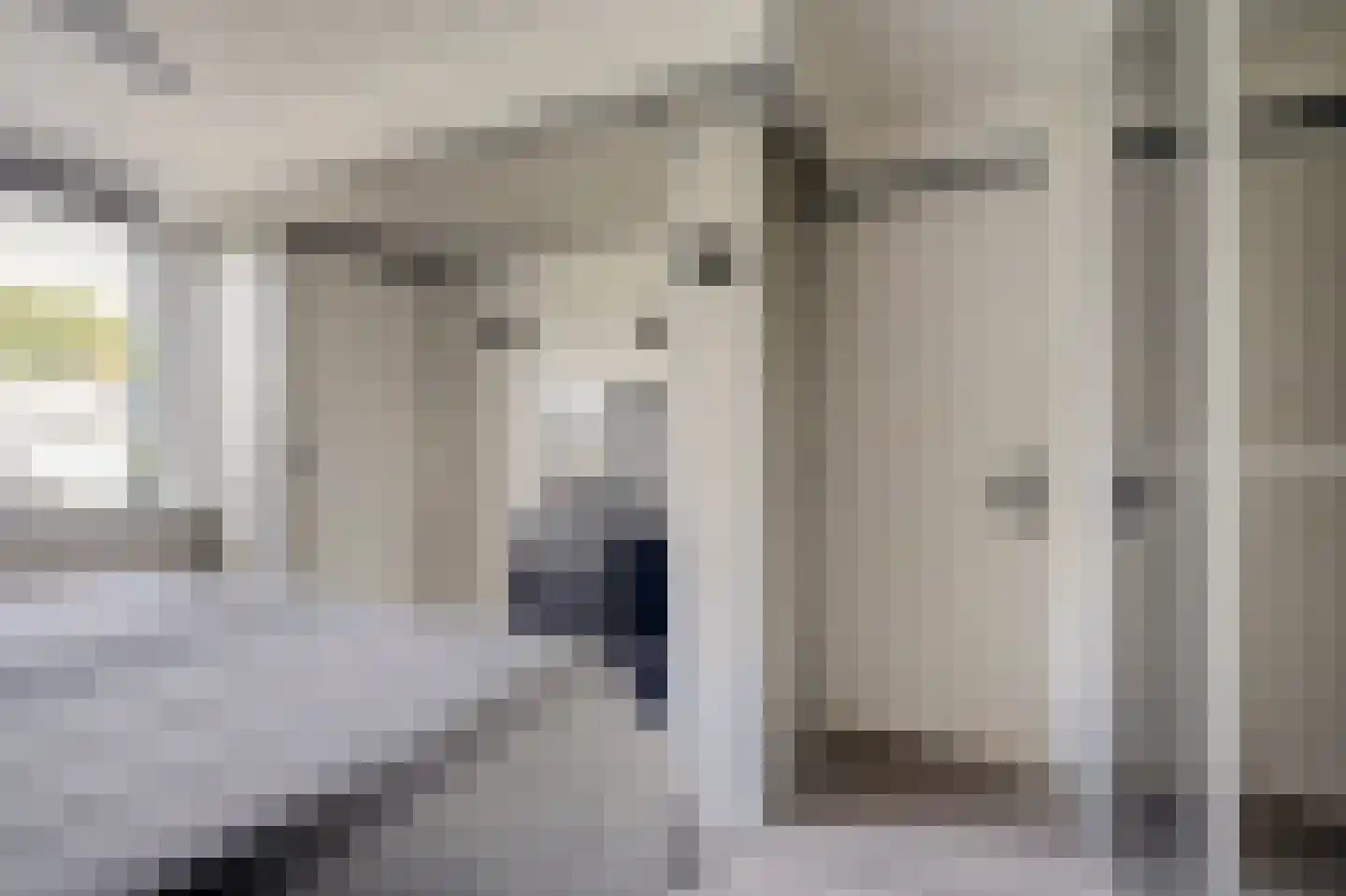Dahliastraat 12 Spijkenisse thumbnail 24