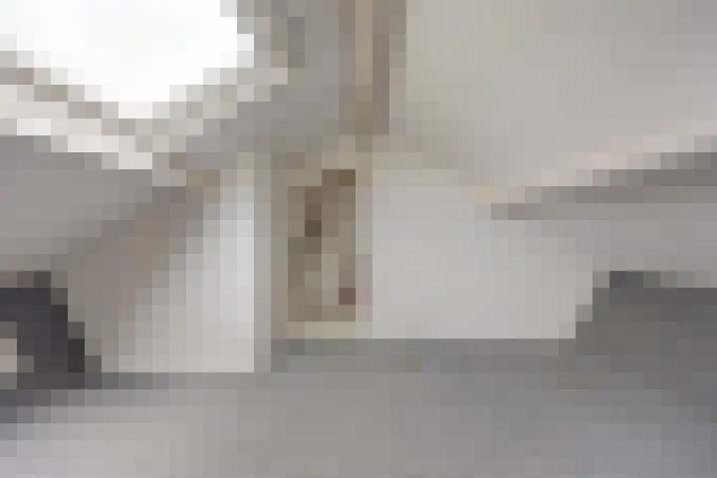 Dahliastraat 12 Spijkenisse thumbnail 30