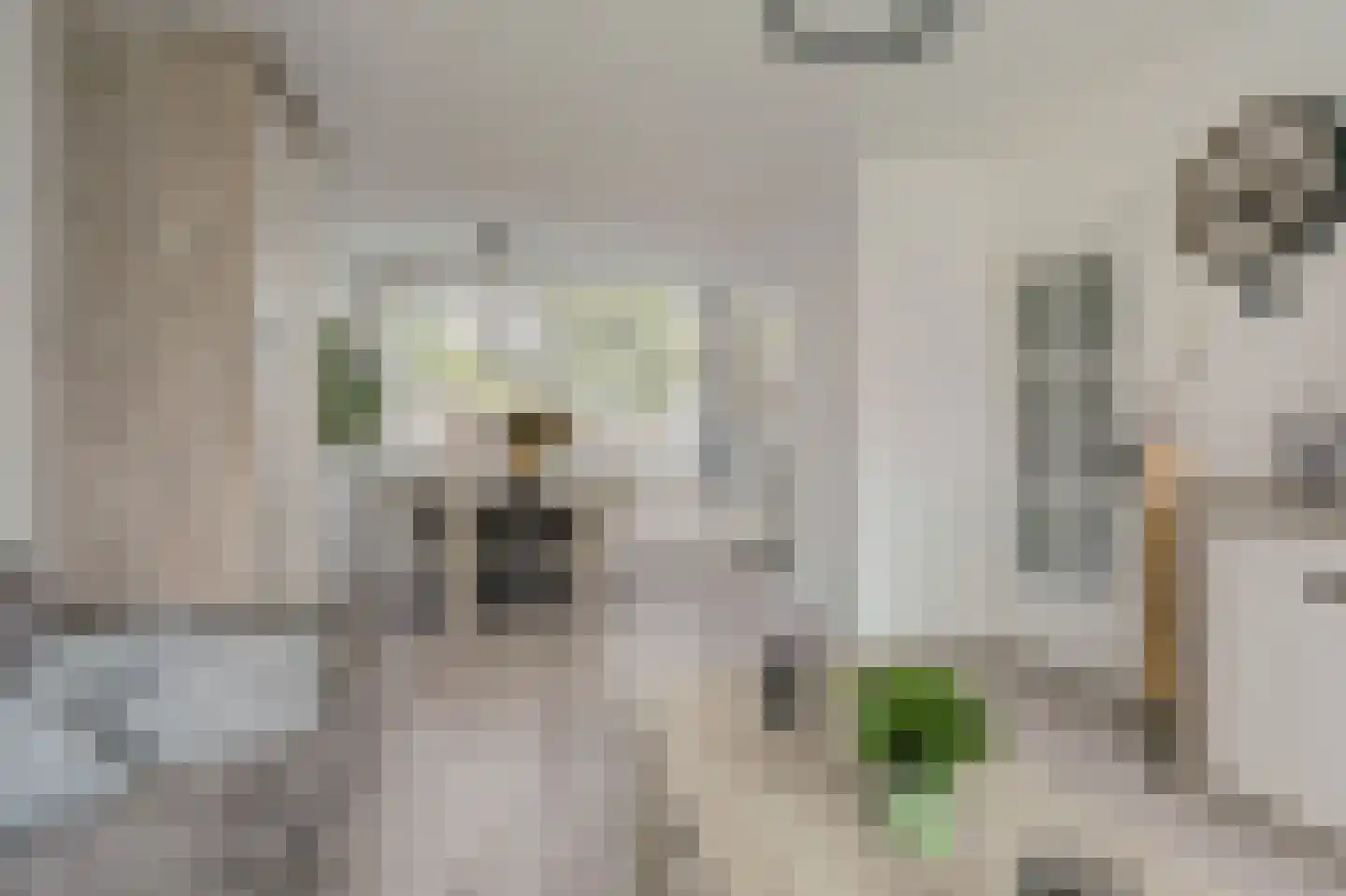 Dahliastraat 12 Spijkenisse thumbnail 4