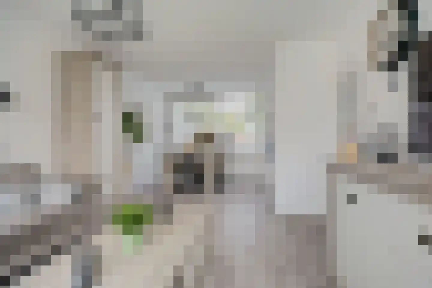 Dahliastraat 12 Spijkenisse thumbnail 5