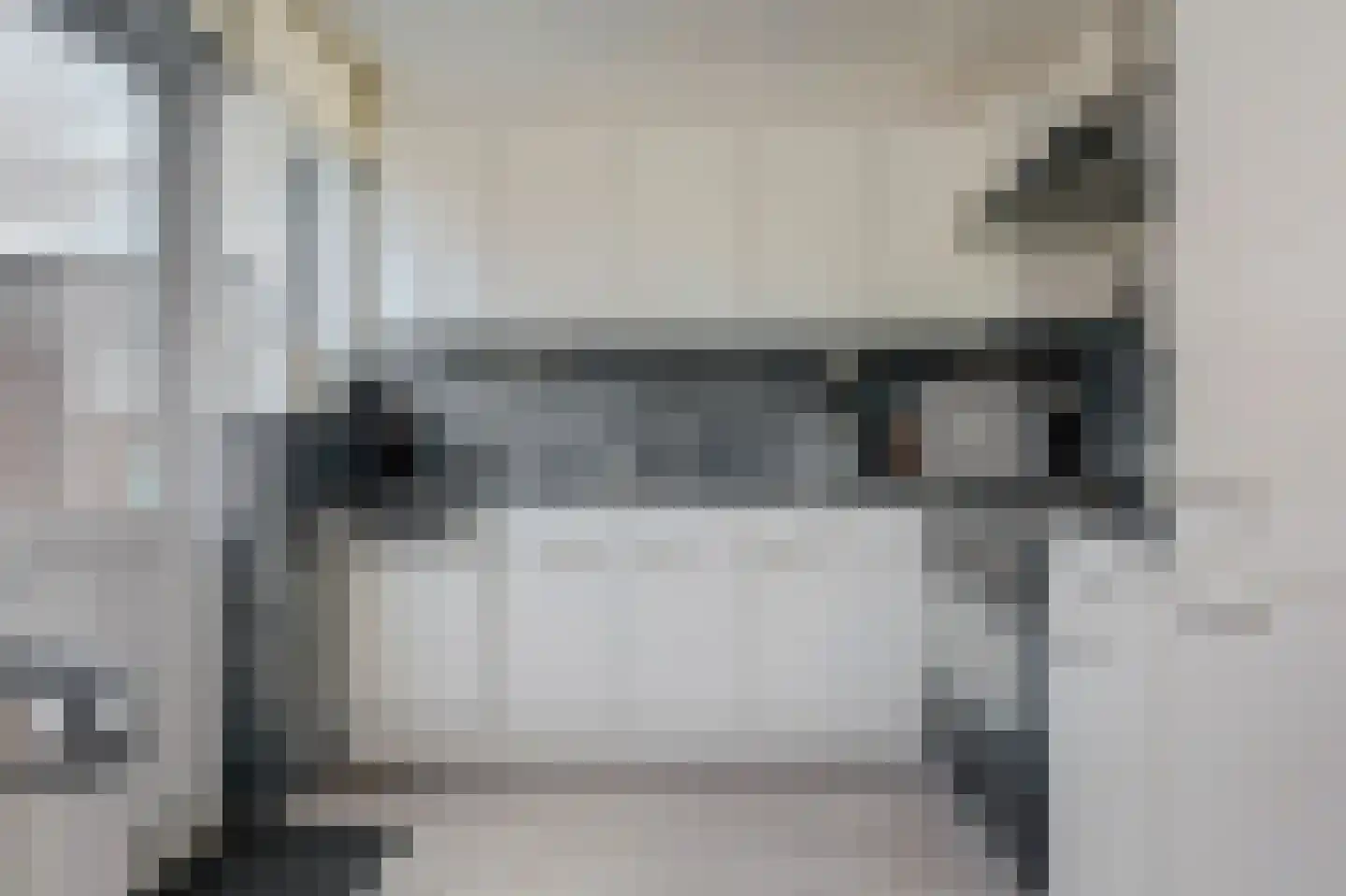 Dahliastraat 12 Spijkenisse thumbnail 9