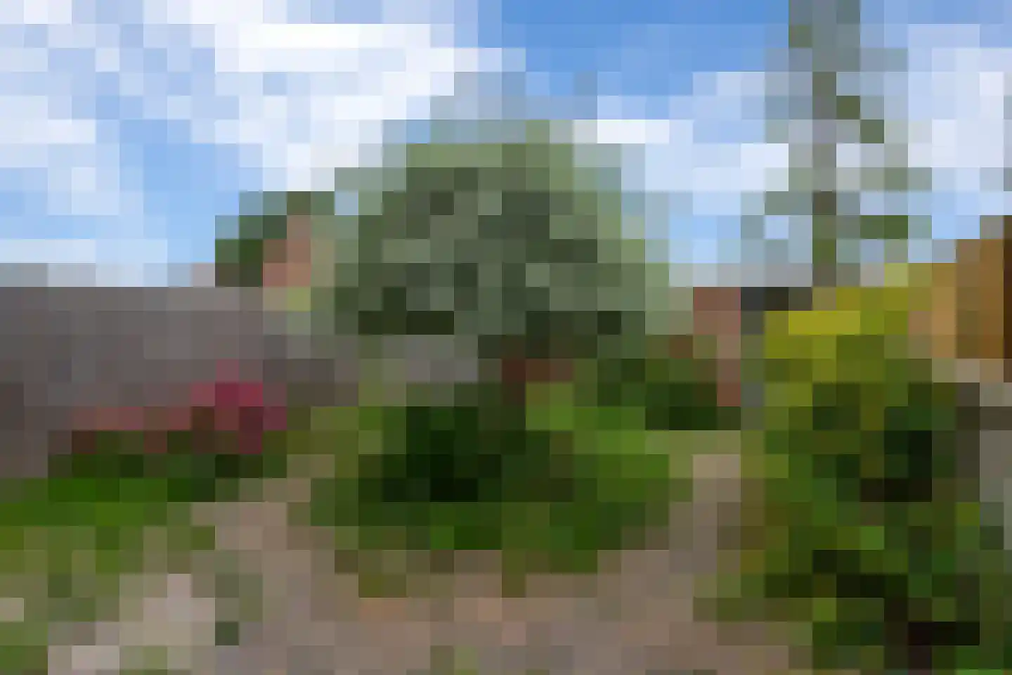 Dahliastraat 12 Zevenhuizen thumbnail 13