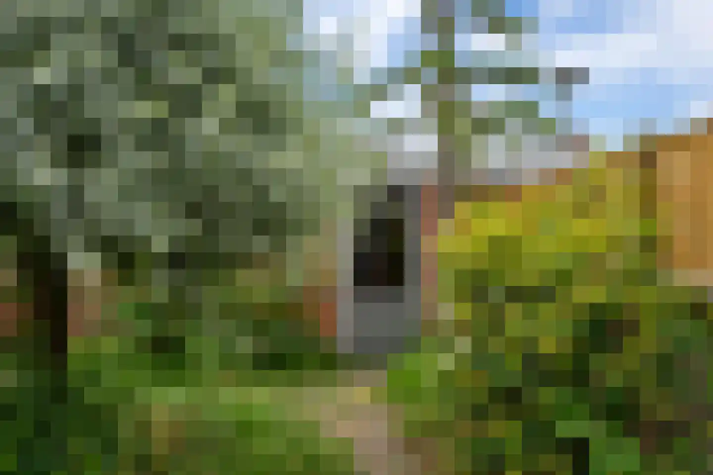 Dahliastraat 12 Zevenhuizen thumbnail 14