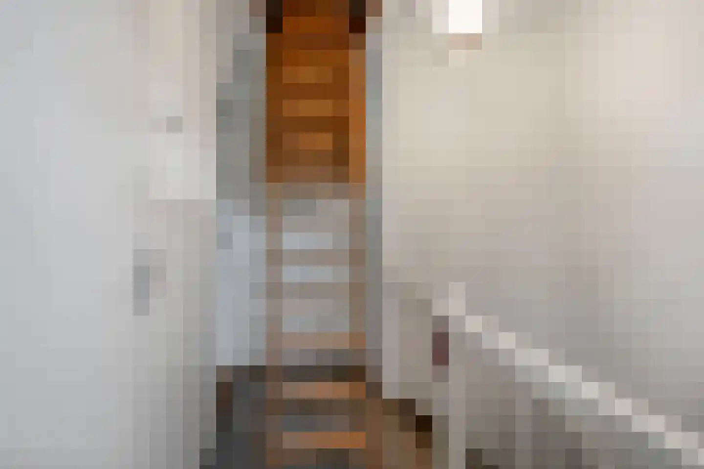 Dahliastraat 12 Zevenhuizen thumbnail 25