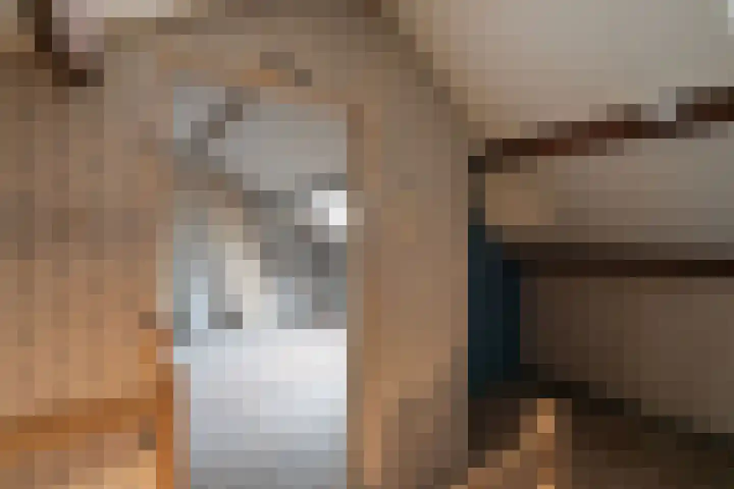 Dahliastraat 12 Zevenhuizen thumbnail 27