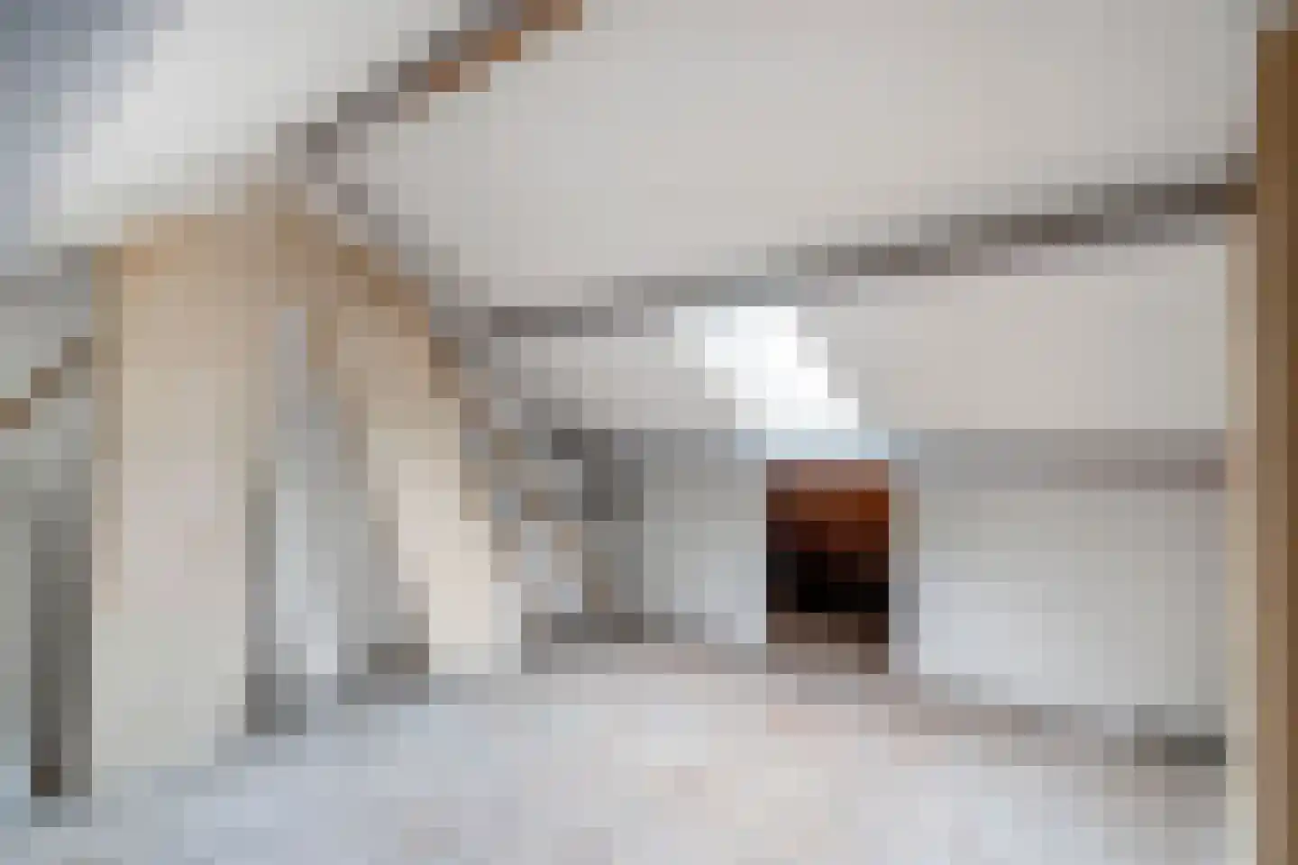 Dahliastraat 12 Zevenhuizen thumbnail 28