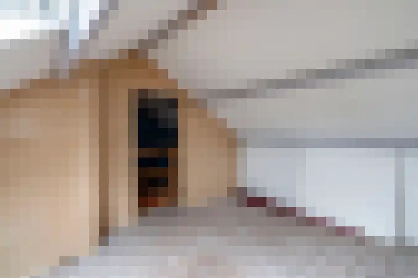 Dahliastraat 12 Zevenhuizen thumbnail 29