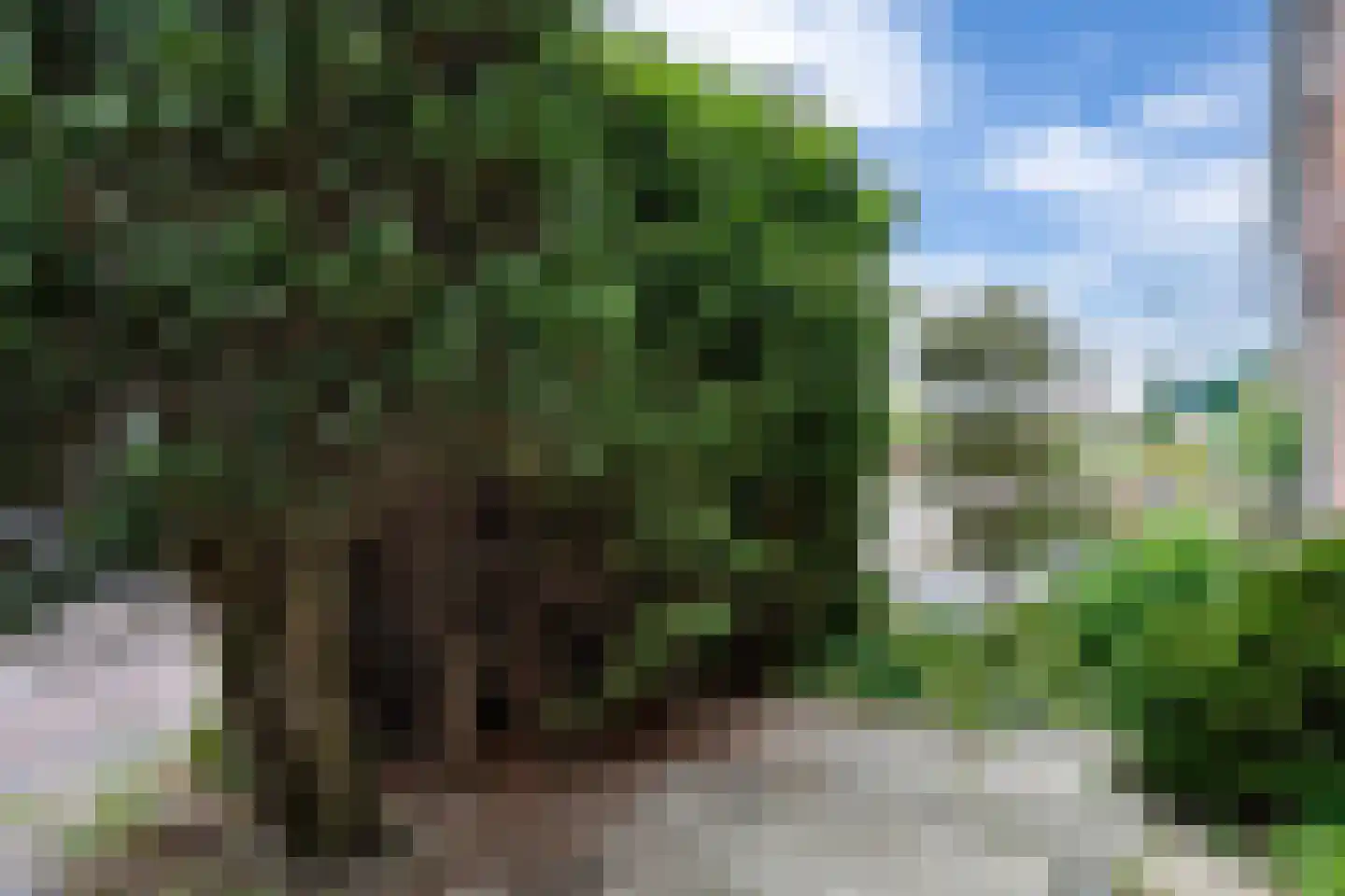 Dahliastraat 12 Zevenhuizen thumbnail 6