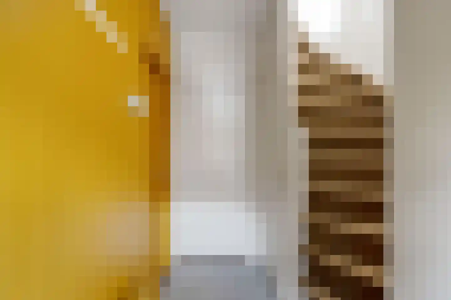 Dahliastraat 12 Zevenhuizen thumbnail 7