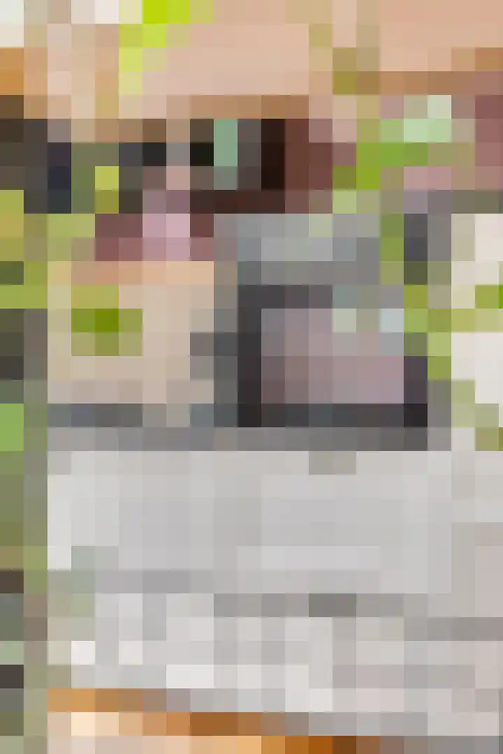 Dahliastraat 13 Ede thumbnail 18